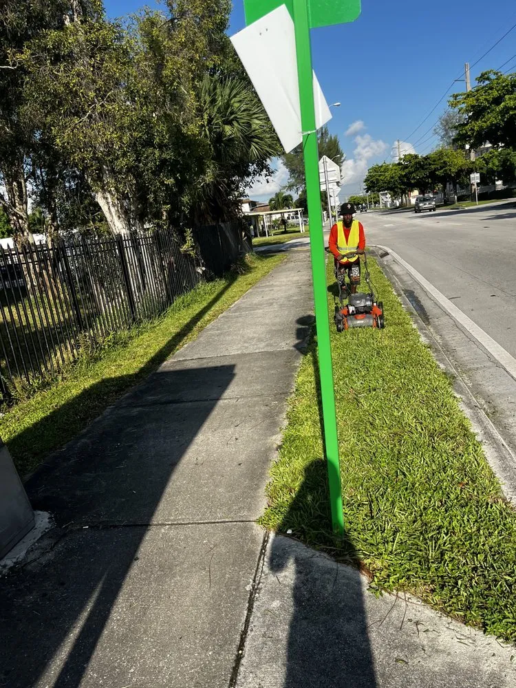 Trusted yard cleanup service in Miami Shores, FL - First Choice Landscaping