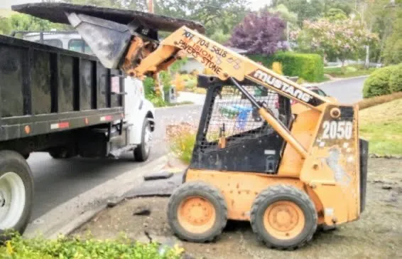 Affordable landscaping services in Albany, CA - First Choice Landscaping Services