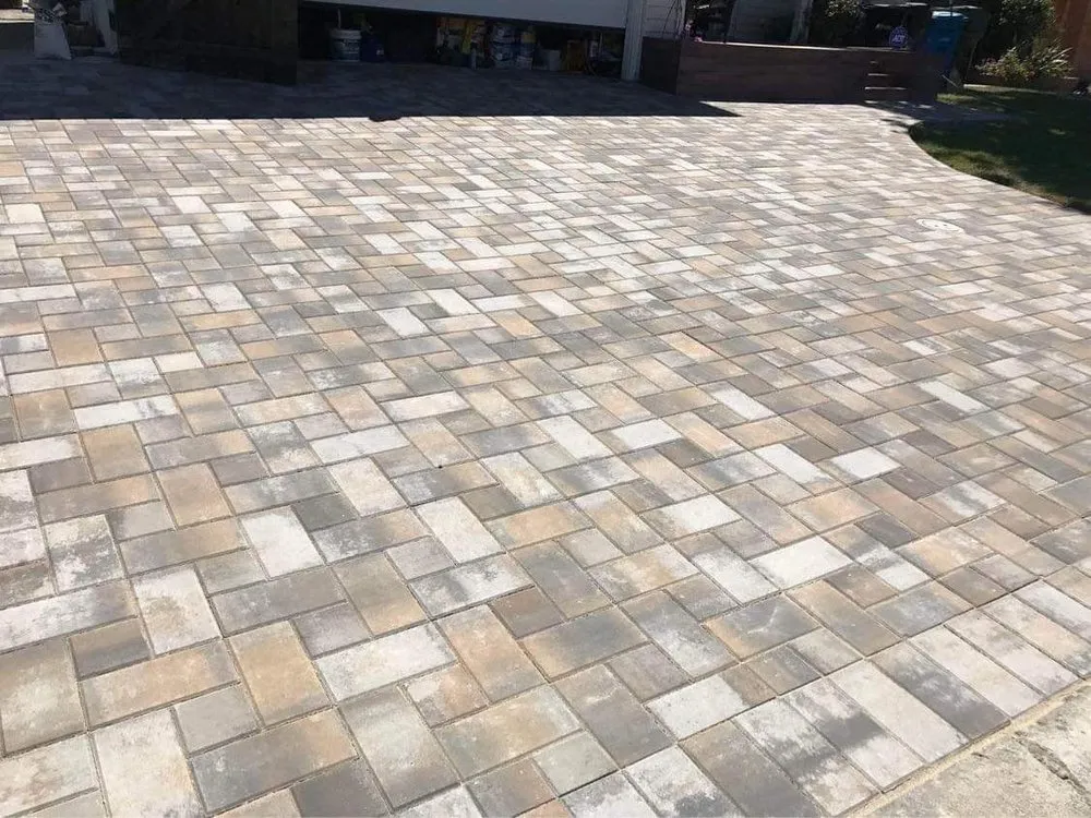 Local yard cleanup service in Albany, CA - First Choice Landscaping Services