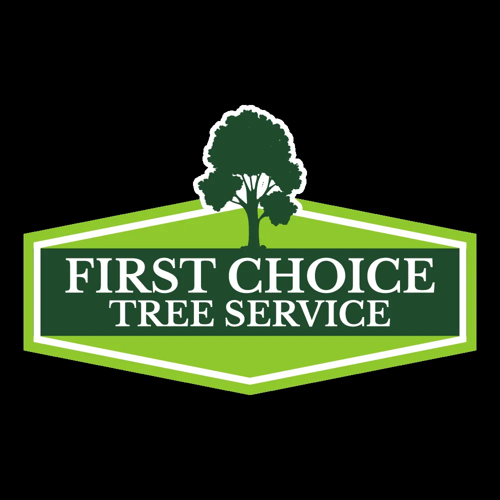 Expert yard maintenance experts serving KNOXVILLE, TN - First Choice Lawn & Tree Service