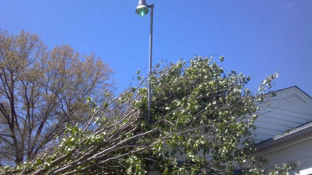 Trusted landscape installation near you in KNOXVILLE, TN by First Choice Lawn & Tree Service