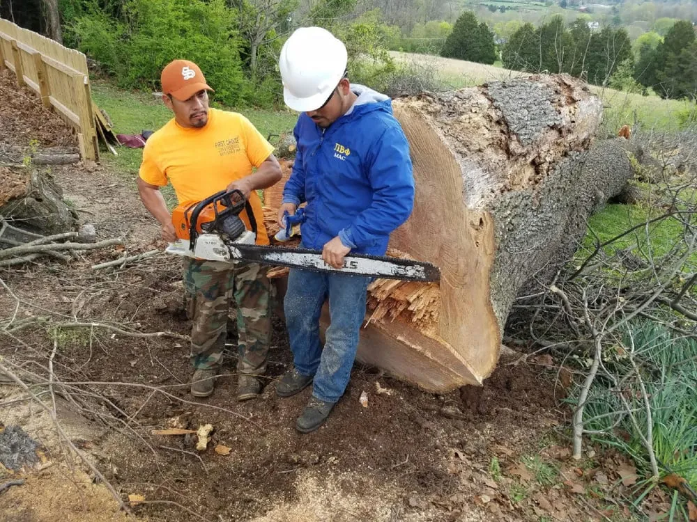 Professional yard cleanup service for homes in KNOXVILLE, TN by First Choice Lawn & Tree Service