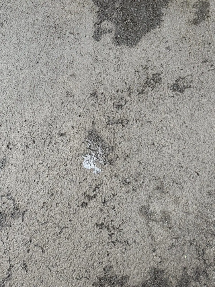 Trusted landscape installation experts serving KNOXVILLE, TN - First Choice Lawn & Tree Service