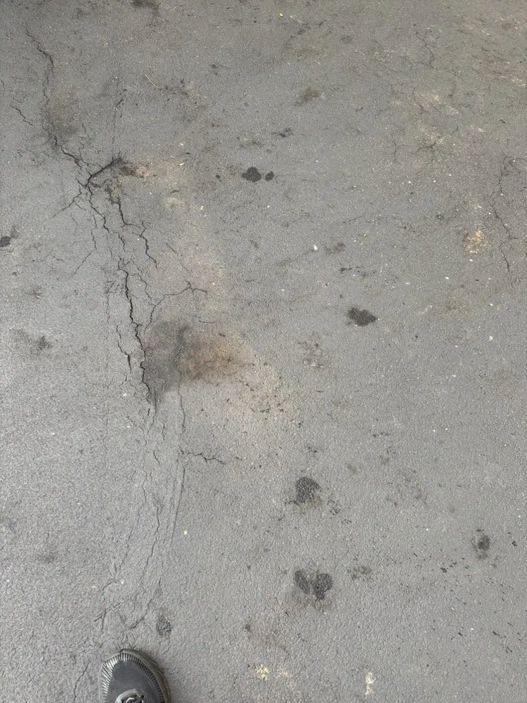 Professional outdoor landscaping in KNOXVILLE, TN - First Choice Lawn & Tree Service