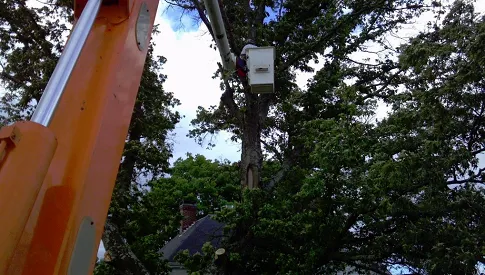 Affordable lawn care service experts serving KNOXVILLE, TN - First Choice Lawn & Tree Service