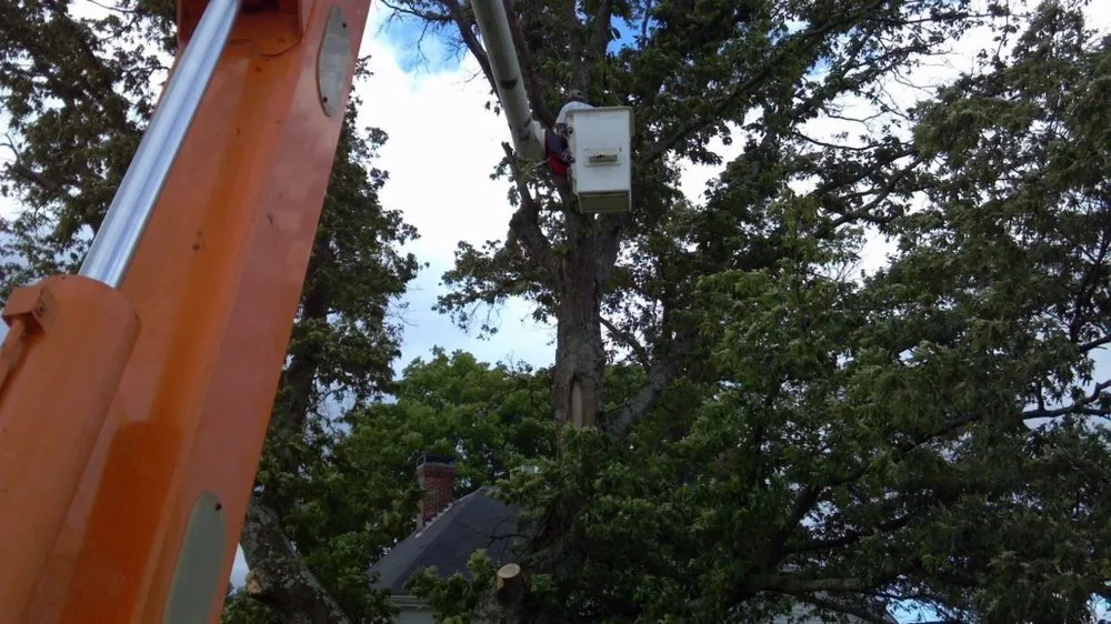 Custom landscaping services experts serving KNOXVILLE, TN - First Choice Lawn & Tree Service