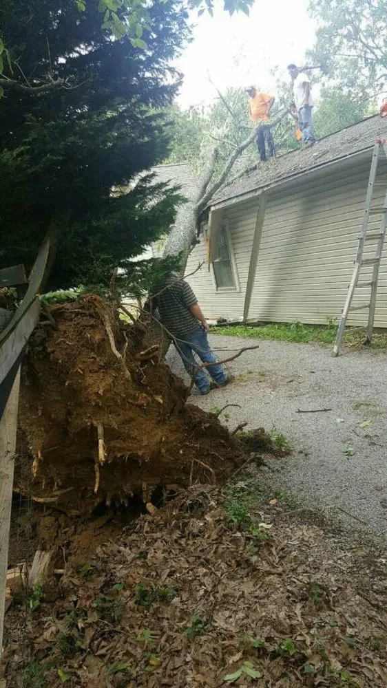 Top-rated landscaping services experts serving KNOXVILLE, TN - First Choice Lawn & Tree Service