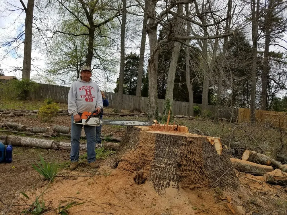 Affordable outdoor landscaping in KNOXVILLE, TN - First Choice Lawn & Tree Service