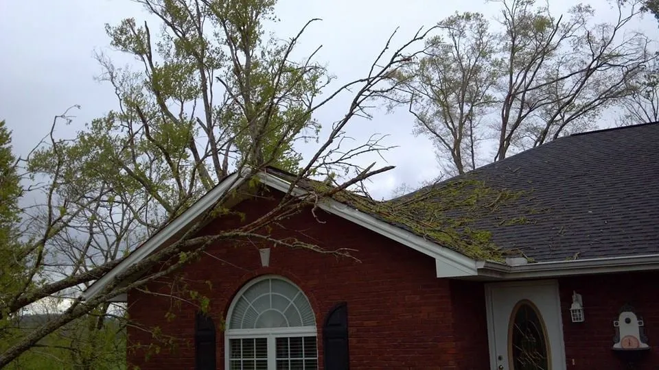 Custom lawn mowing service for beautiful yards across KNOXVILLE, TN - First Choice Lawn & Tree Service