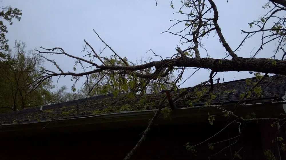 Local landscaping services experts serving KNOXVILLE, TN - First Choice Lawn & Tree Service