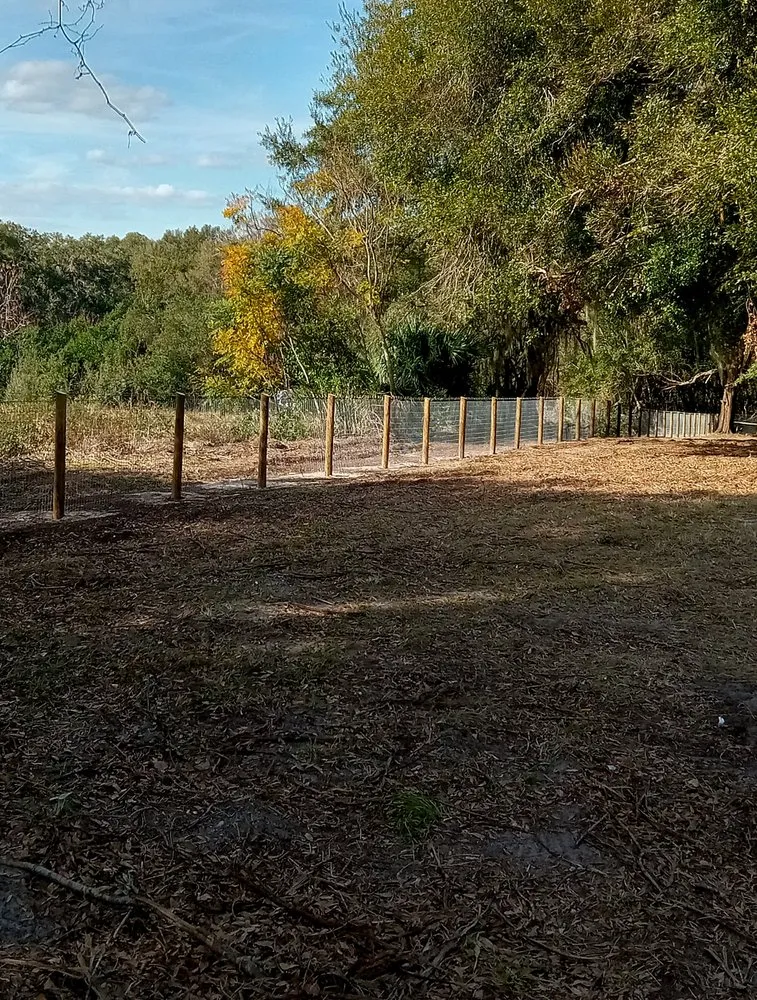 Trusted yard maintenance experts serving Ocklawaha, FL - First Choice Lawn and Home Care