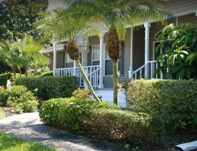 Custom landscaping services for outdoor upgrades in Lakeland, FL by First Choice Lawn and Landscaping