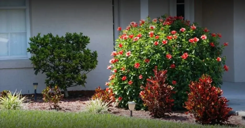 Trusted outdoor landscaping experts serving Lakeland, FL - First Choice Lawn and Landscaping