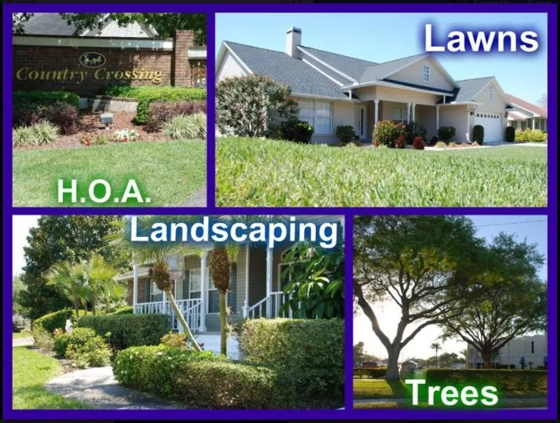 Affordable landscaping services in Lakeland, FL by First Choice Lawn and Landscaping