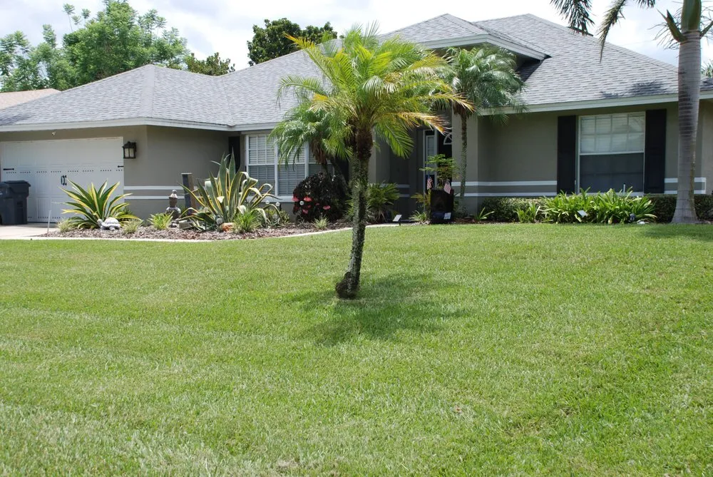 Trusted yard cleanup service in Lakeland, FL by First Choice Lawn and Landscaping