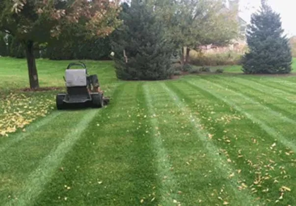Reliable yard cleanup service experts serving Elkhart, IN - First Choice Lawn Care