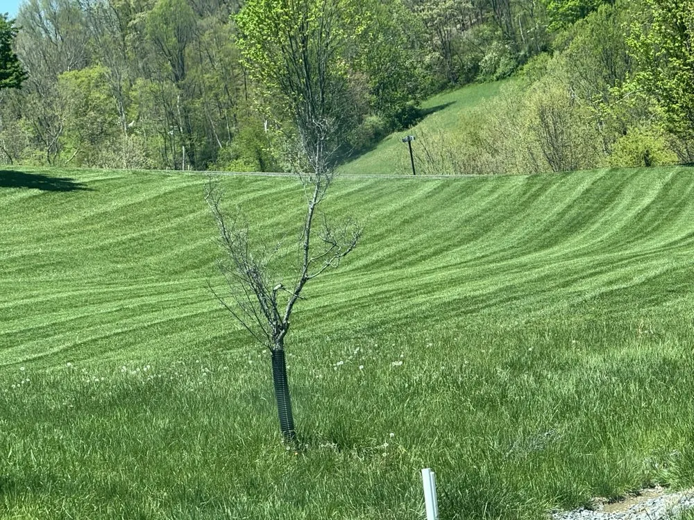 Expert landscape installation in Lost Creek, WV - First Choice Lawn Care