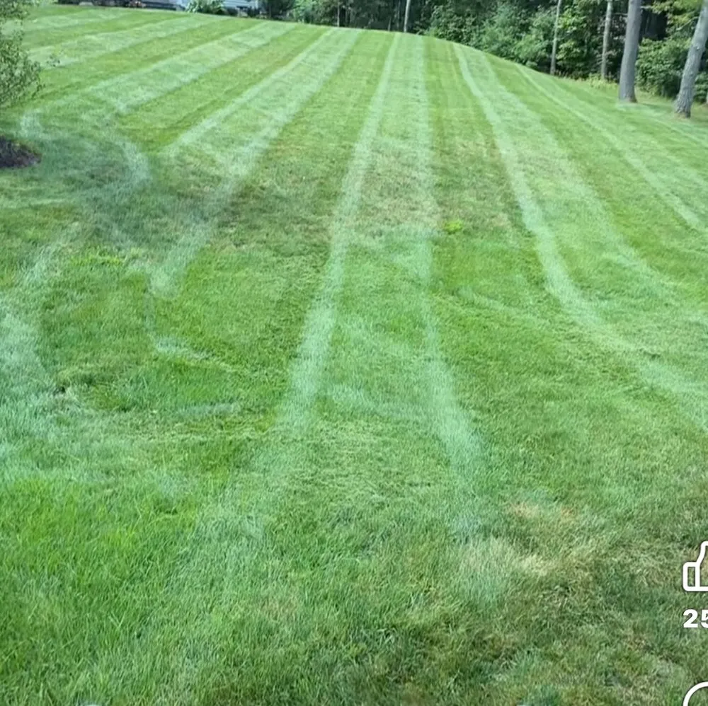 Professional lawn care service in Lost Creek, WV - First Choice Lawn Care
