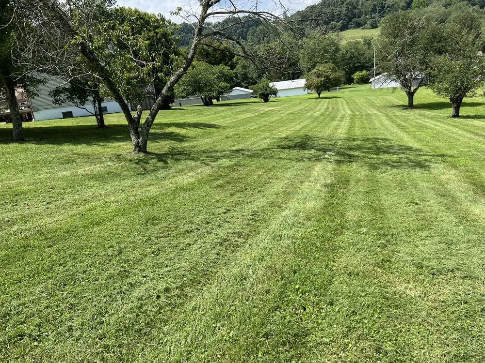 Expert yard cleanup service in Lost Creek, WV by First Choice Lawn Care