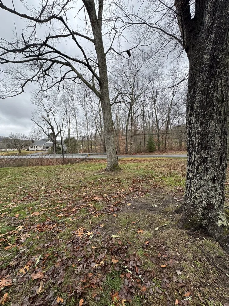 Top-rated garden landscaping with custom design across Lost Creek, WV - First Choice Lawn Care