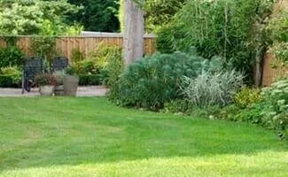 Top-rated lawn care service in Shreveport, LA - First Choice Lawn Care