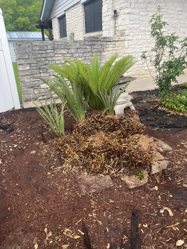 Expert residential landscaping in San Antonio, TX - First Choice Lawn