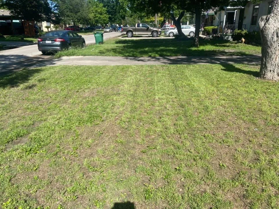 Local landscape design for residential properties across San Antonio, TX - First Choice Lawn