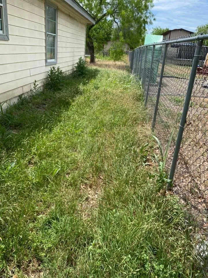 Professional outdoor landscaping in San Antonio, TX by First Choice Lawn