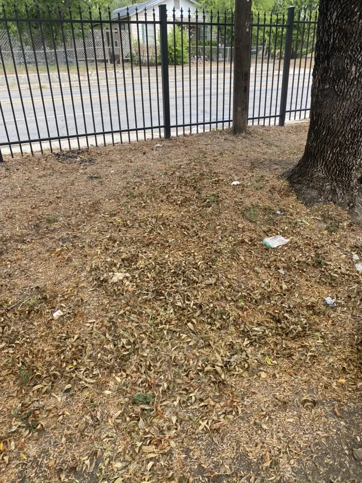 Top-rated outdoor landscaping in San Antonio, TX - First Choice Lawn