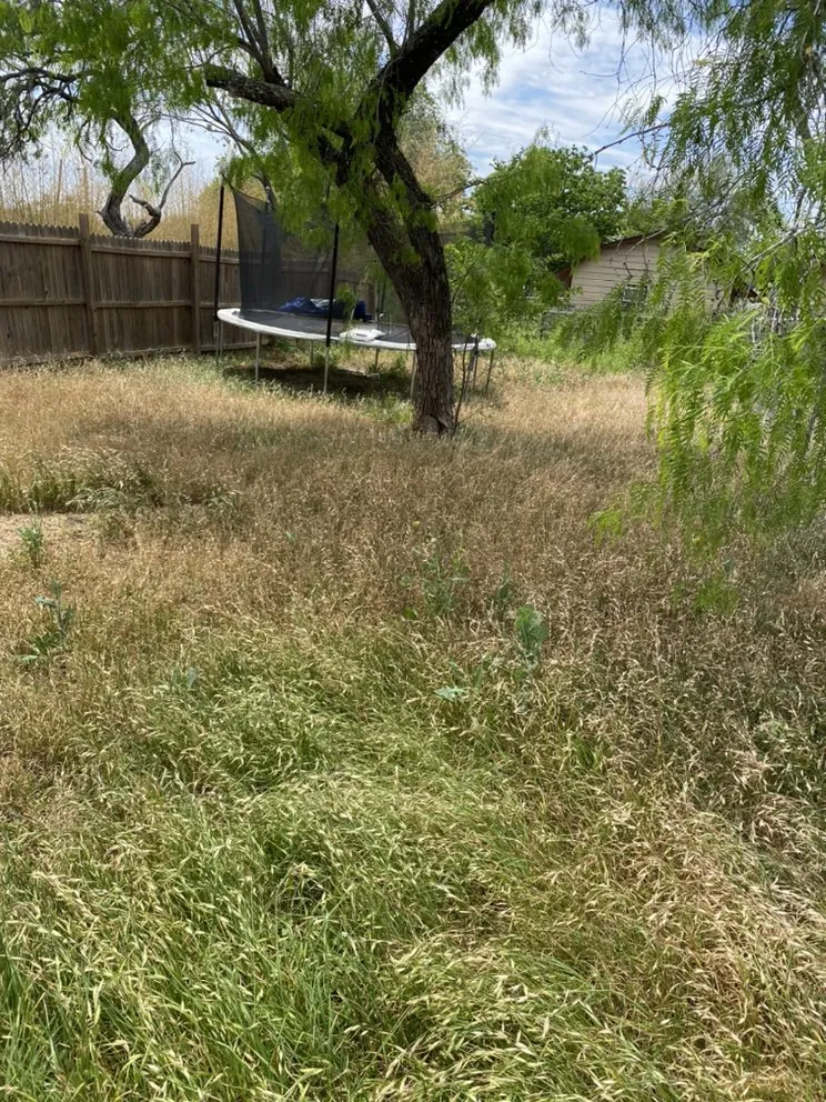 Custom yard cleanup service in San Antonio, TX - First Choice Lawn