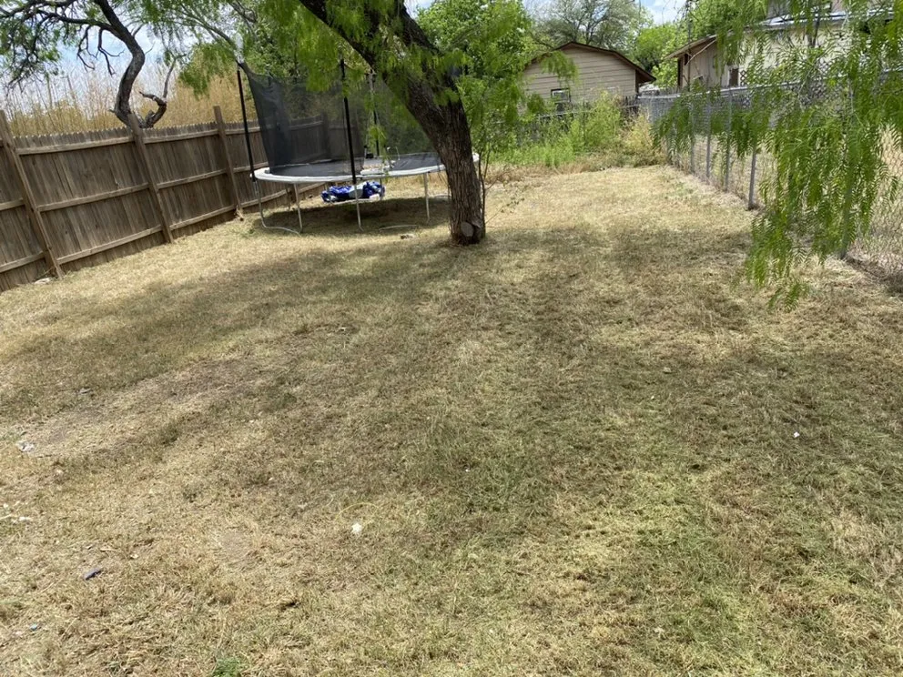 Custom lawn care service for year-round maintenance in San Antonio, TX by First Choice Lawn