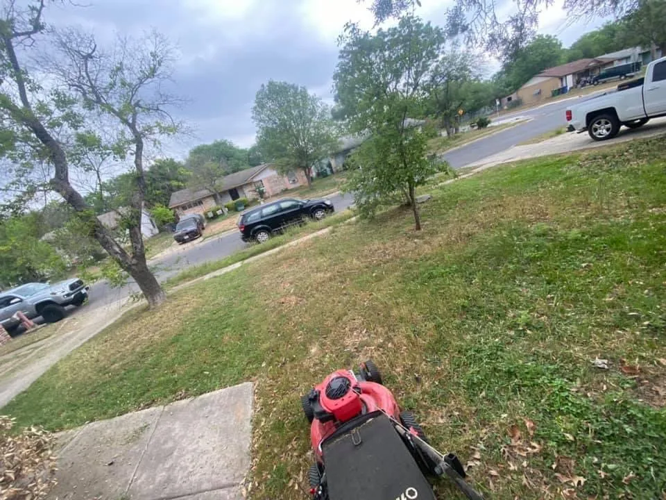 Top-rated lawn care service near you in San Antonio, TX by First Choice Lawn
