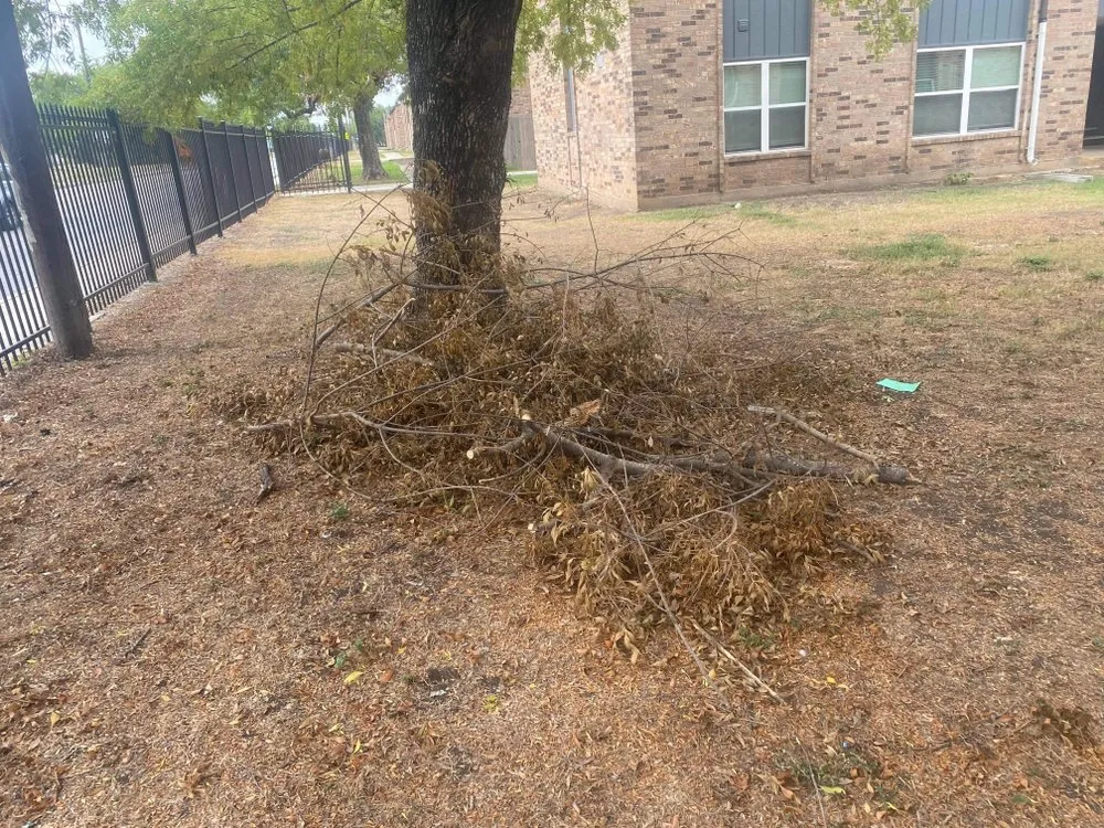 Reliable yard maintenance for year-round maintenance in San Antonio, TX by First Choice Lawn