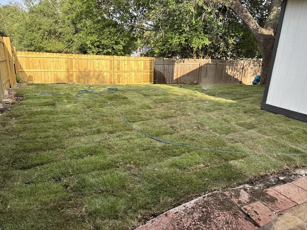 Affordable yard maintenance in San Antonio, TX - First Choice Lawn