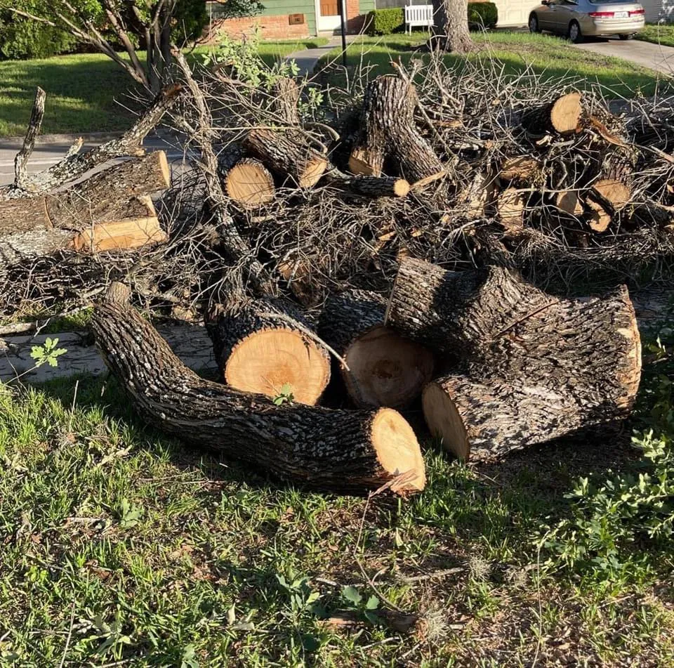 Top-rated lawn care service for homes across San Antonio, TX - First Choice Lawn