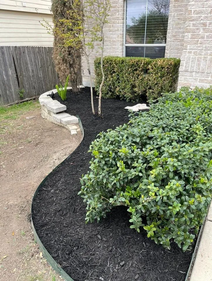 Affordable lawn care service for beautiful yards across San Antonio, TX - First Choice Lawn