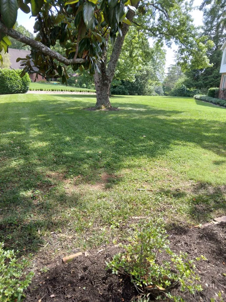 Trusted residential landscaping experts serving Rockford, TN - First Choice Lawncare