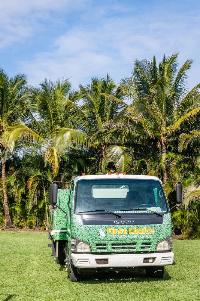 Reliable yard cleanup service experts serving Loxahatchee, FL - First Choice
