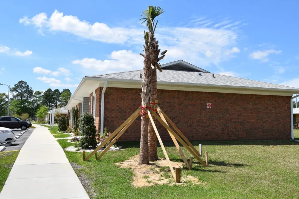 Expert yard maintenance with custom design across Pensacola, FL - First Choice Maintenance Services Lawn and Landscaping