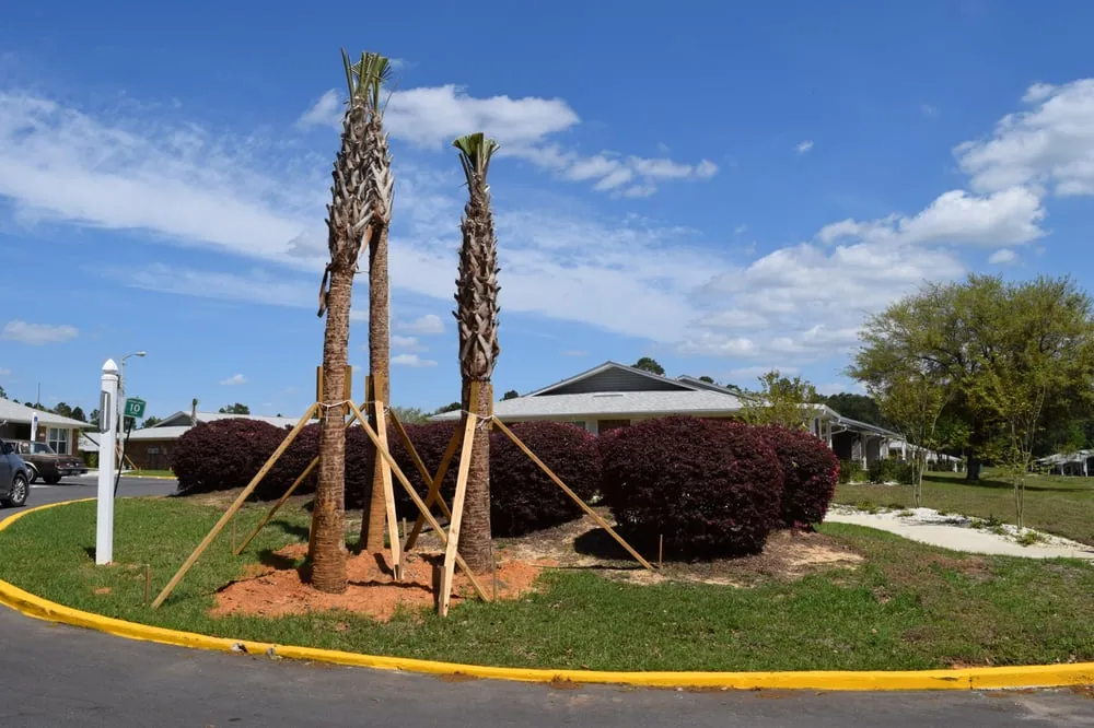 Top-rated residential landscaping with custom design in Pensacola, FL by First Choice Maintenance Services Lawn and Landscaping