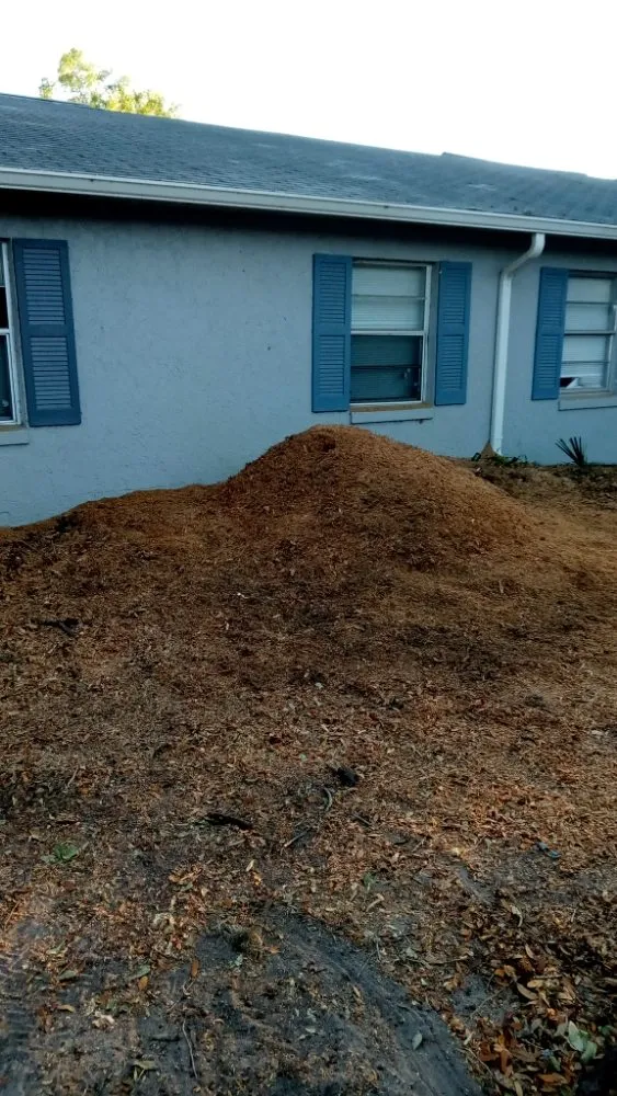 Professional yard maintenance with custom design across Lockhart, FL - First Choice Solutions Of Central Florida