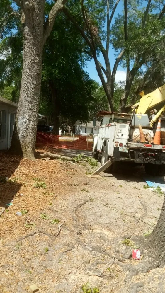 Local landscaping services in Lockhart, FL by First Choice Solutions Of Central Florida