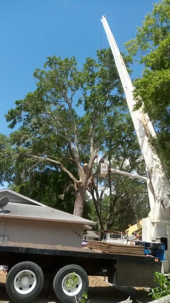 Local yard maintenance for homes across Lockhart, FL - First Choice Solutions Of Central Florida