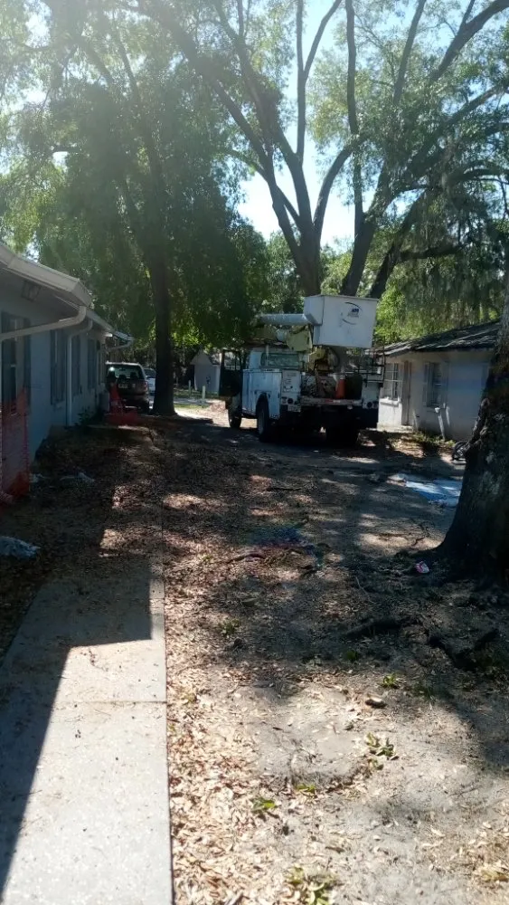 Top-rated lawn mowing service in Lockhart, FL by First Choice Solutions Of Central Florida