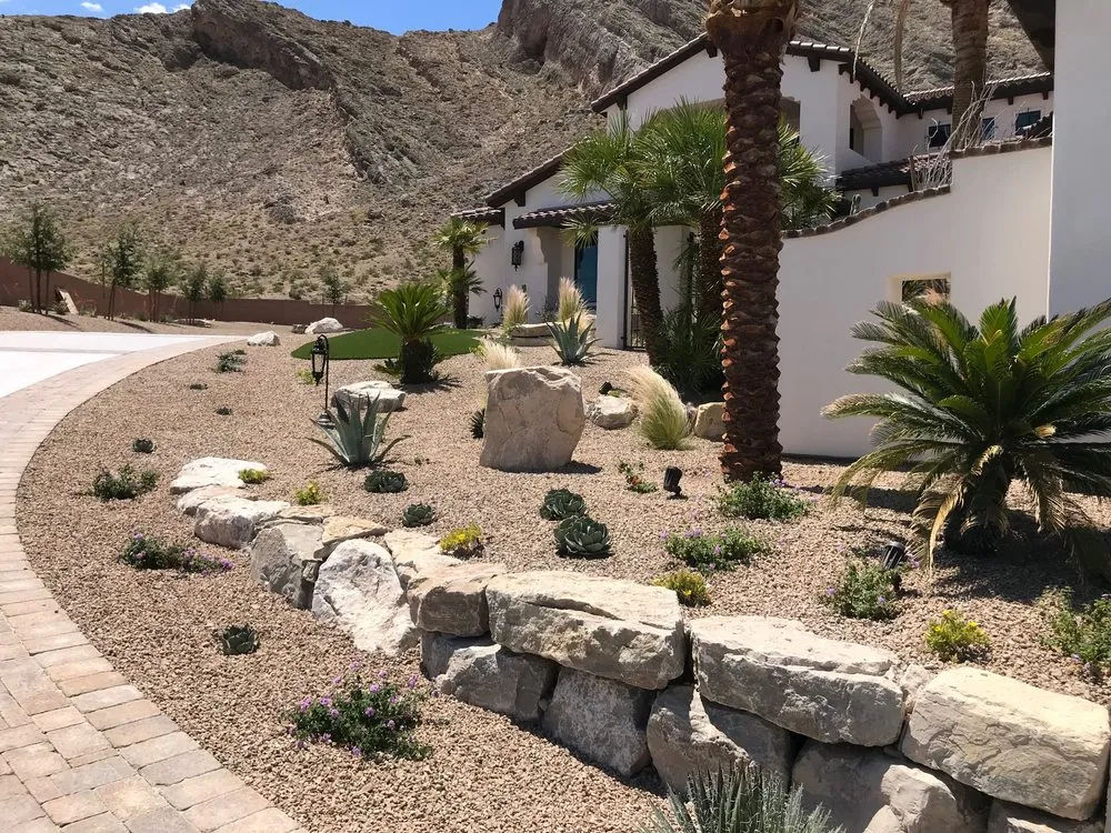 Trusted yard cleanup service for year-round maintenance in Las Vegas, NV by First Choice Tree Service