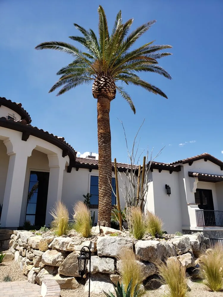 Professional landscape installation for homes in Las Vegas, NV by First Choice Tree Service
