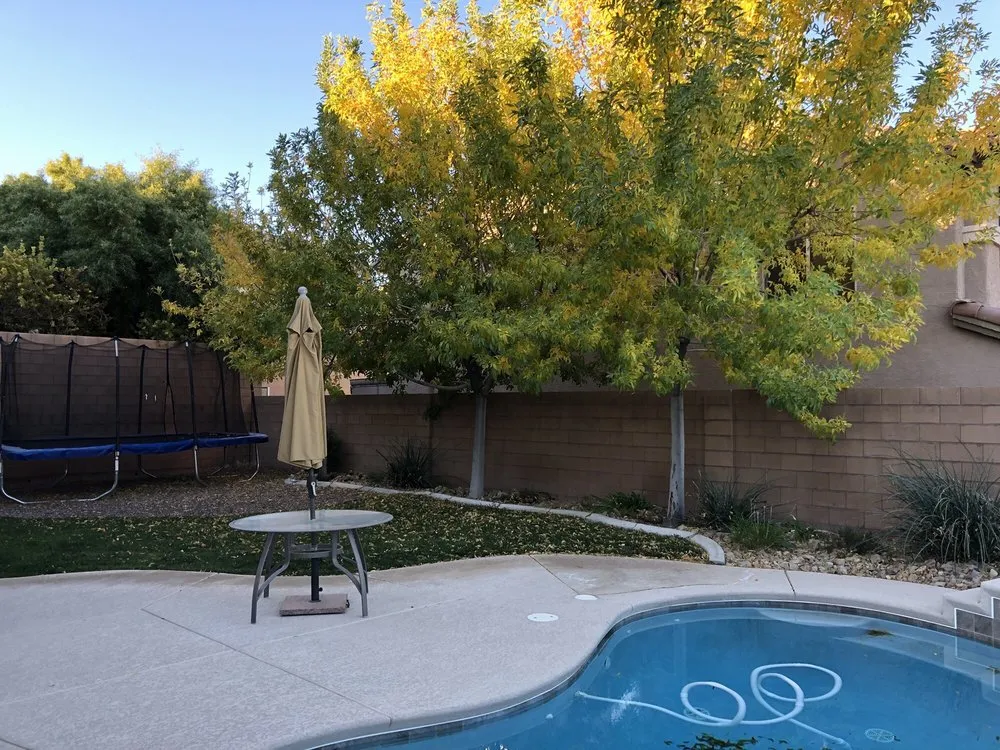 Custom landscape design experts serving Las Vegas, NV - First Choice Tree Service