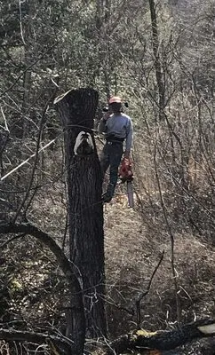 First Choice Tree Services