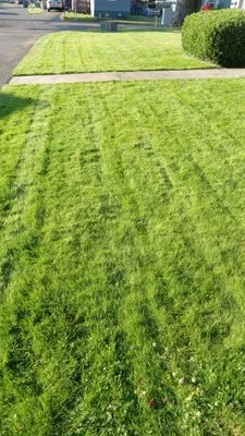 First Choice Yard Care Logo