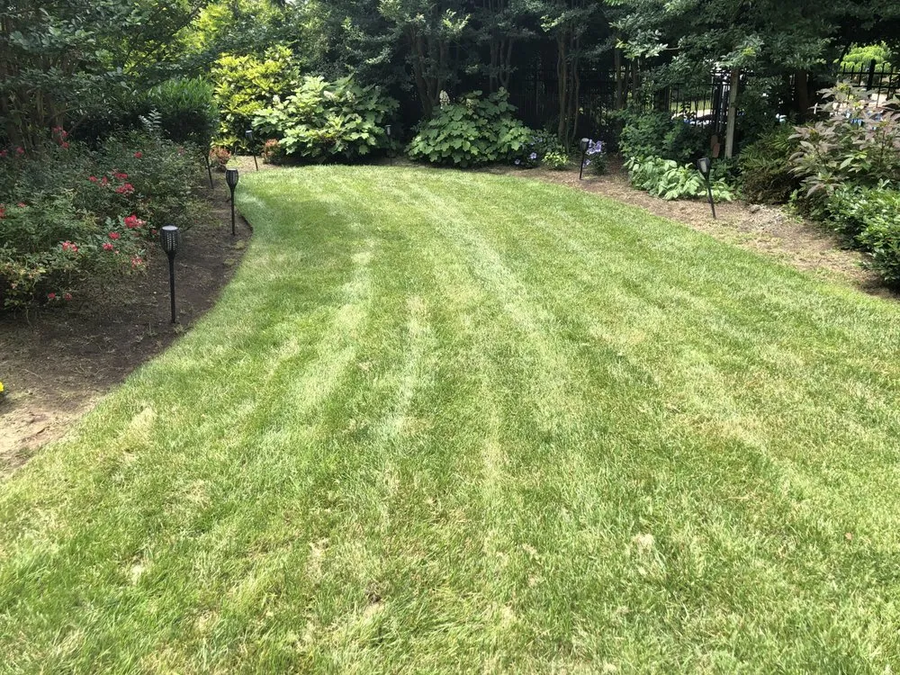 Affordable lawn care service for residential properties across Hampton, VA - First Class Cuts